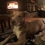 Entry image for Prince