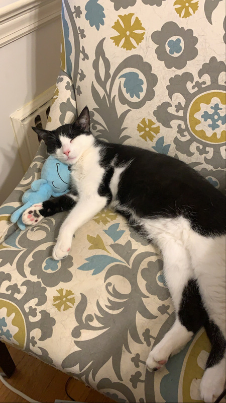 Entry image for Mr Meeseeks . Clicking this image will show a larger photo