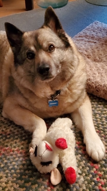 Entry image for Shaman. Clicking this image will show a larger photo