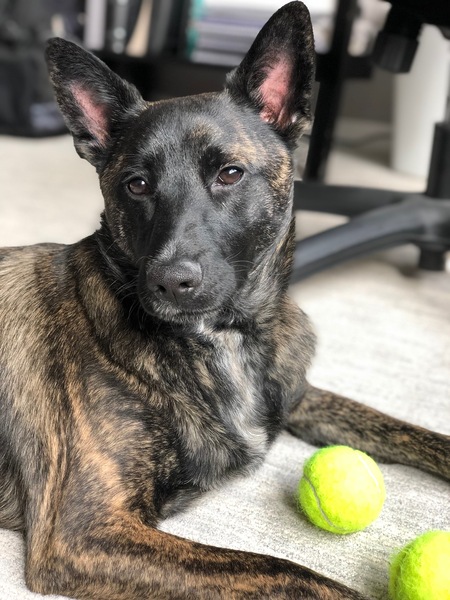 Entry image for Vince. Clicking this image will show a larger photo