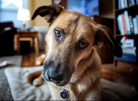 Entry image for Keno. Clicking this image will show a larger photo