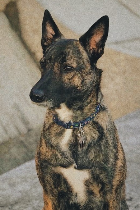 Entry image for Heidi. Clicking this image will show a larger photo