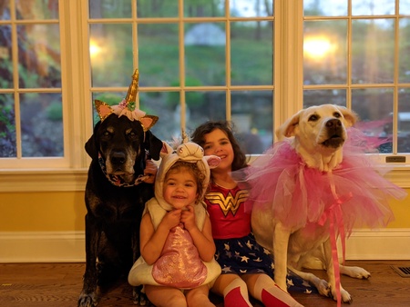 Entry image for Rocco and Joules. Clicking this image will show a larger photo