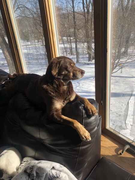 Entry image for Asia. Clicking this image will show a larger photo