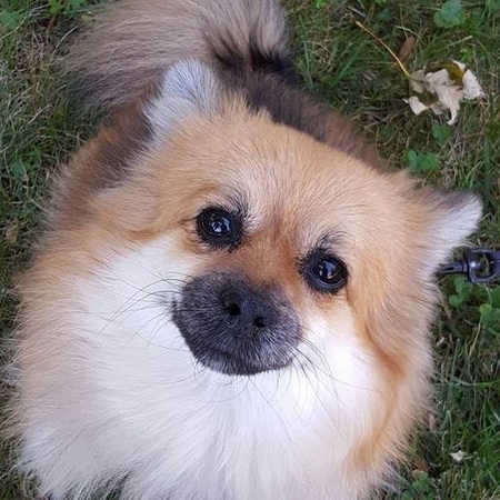 Entry image for Marie. Clicking this image will show a larger photo