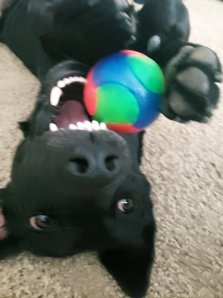 Entry image for Emma. Clicking this image will show a larger photo