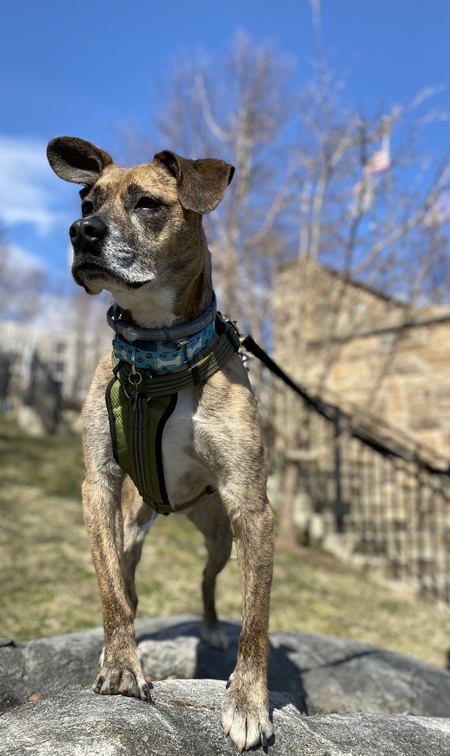 Entry image for Rider. Clicking this image will show a larger photo