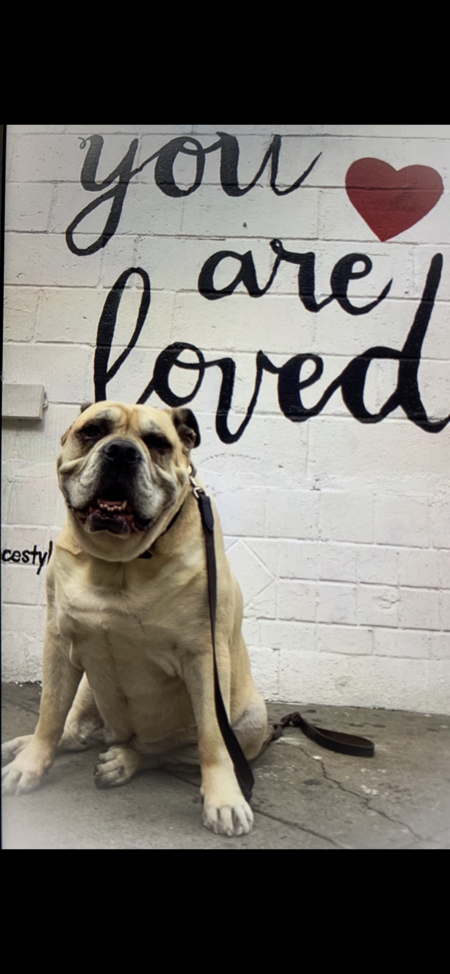 Entry image for Titus Winston. Clicking this image will show a larger photo