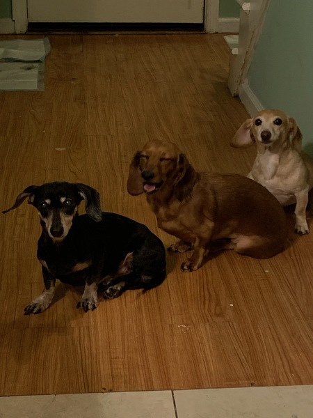 Entry image for Rika & Scarlet & Charlotte. Clicking this image will show a larger photo