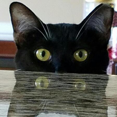 Entry image for Marlee. Clicking this image will show a larger photo