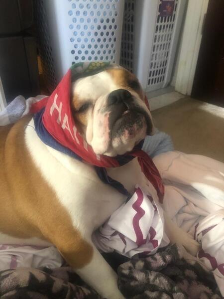 Entry image for Ellie . Clicking this image will show a larger photo