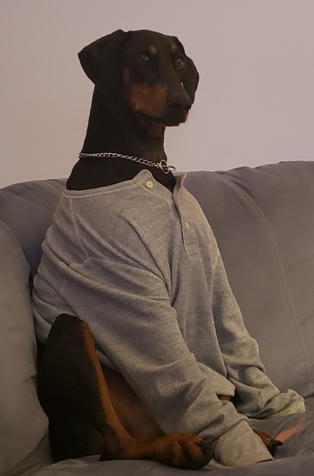 Entry image for Jojo. Clicking this image will show a larger photo