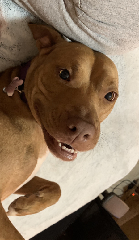 Entry image for Kate. Clicking this image will show a larger photo