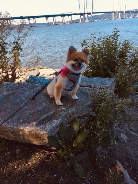 Entry image for Marie. Clicking this image will show a larger photo