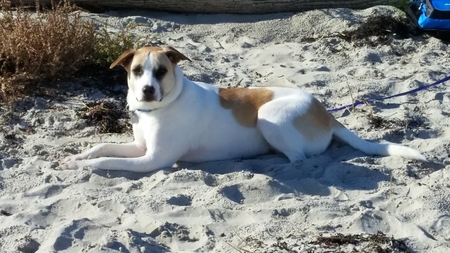 Entry image for LOGAN. Clicking this image will show a larger photo