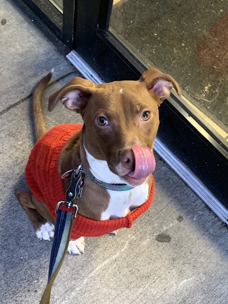 Entry image for Julie Brown . Clicking this image will show a larger photo