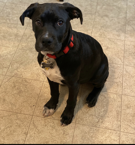 Entry image for Everest. Clicking this image will show a larger photo