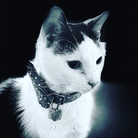 Entry image for Philip (Baraaf). Clicking this image will show a larger photo