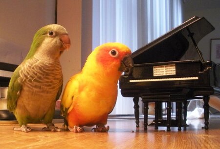 Entry image for Sunny and Nikki. Clicking this image will show a larger photo