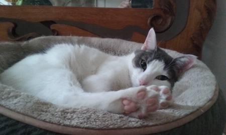 Entry image for Mel (Melanie). Clicking this image will show a larger photo