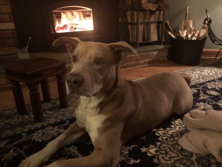 Entry image for Prince. Clicking this image will show a larger photo