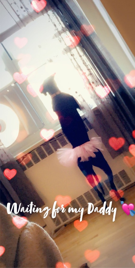 Entry image for Bella. Clicking this image will show a larger photo