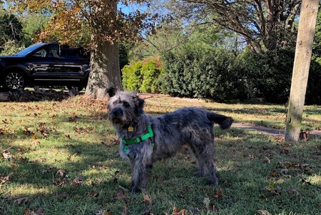 Entry image for Roger. Clicking this image will show a larger photo