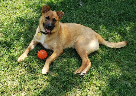 Entry image for Ava. Clicking this image will show a larger photo