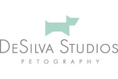 DeSilva Studios, LLC