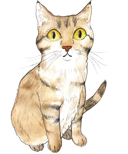 Belle