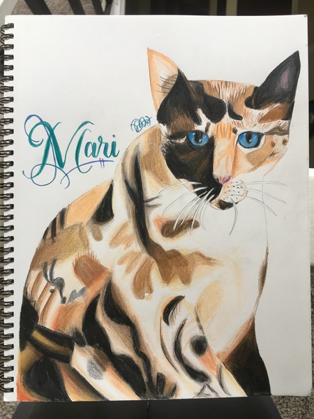 Mari