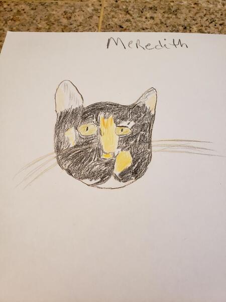 Meredith