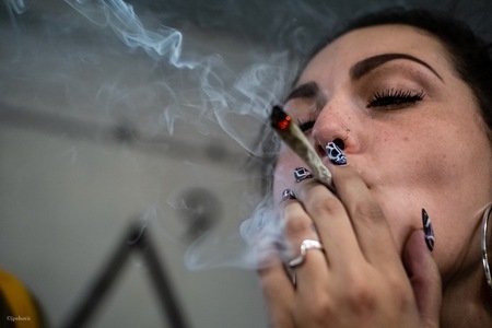 Connoisseur.Queen 
