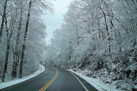 Snowy Coble
