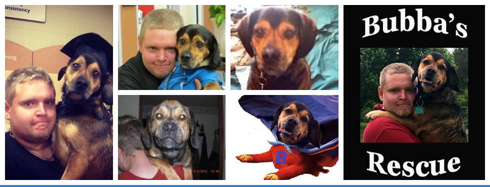 Banner for Puppy Love Contest