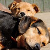 Entry image for Lily,Lucy