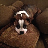 Entry image for Penny "Nubs" Garrison