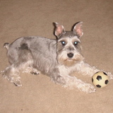 Entry image for Rusky