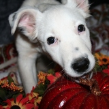 Entry image for Magic