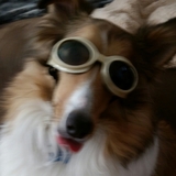 Entry image for Louis