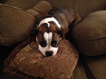 Entry image for Penny "Nubs" Garrison. Clicking this image will show a larger photo