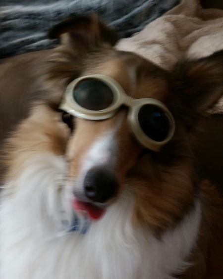 Entry image for Louis. Clicking this image will show a larger photo