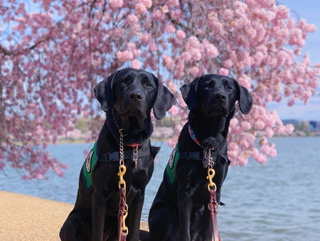 Irma and Nessa