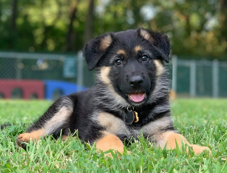 Duncan