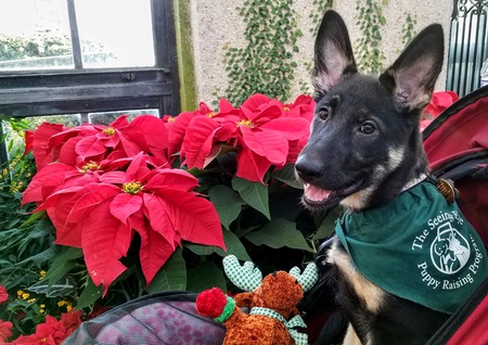 Nyla