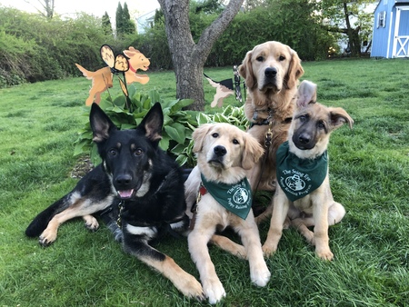 Romeo, Carson, Zeus, and Toto