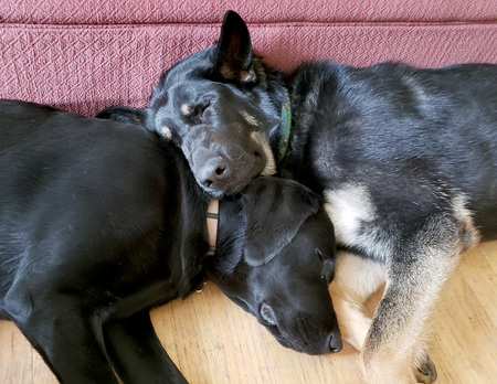 Martyna and Oakley