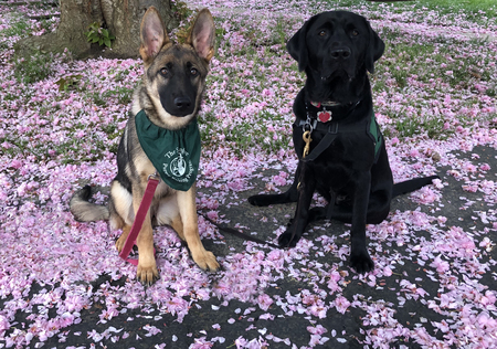 Helcia and Kora