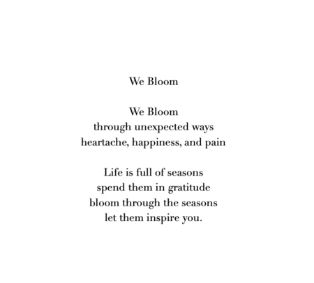 Sierra Barnes - We Bloom