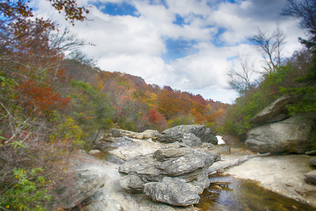 Alison Fortney - Graveyard Fields Falls